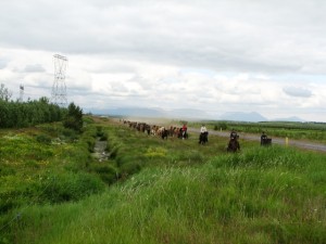 Á heimleið. Við Reykji